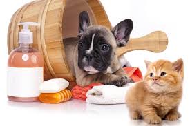 Pet Essentials